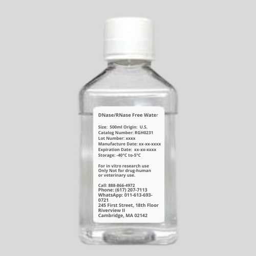 DNase/RNase Free Water 500 ml