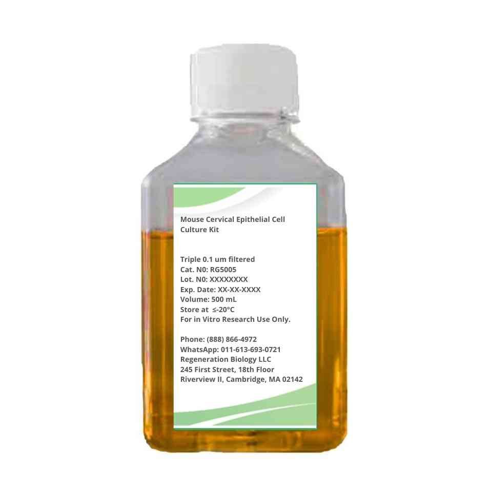 Mouse Cervical Epithelial Cell Culture Kit