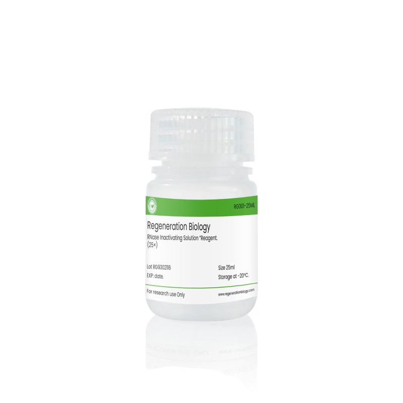 RNase Inactivating Solution (25×)